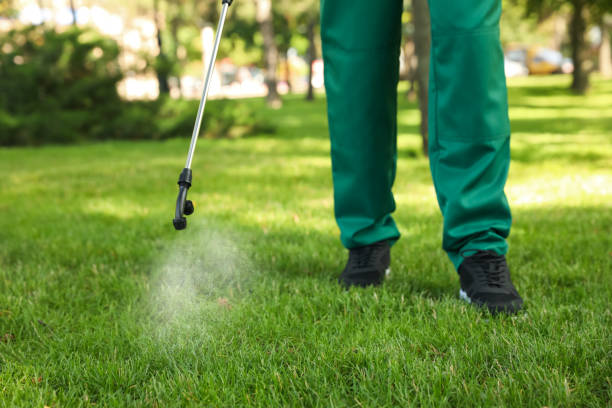 Best Wasp Removal Services  in Glens Falls North, NY
