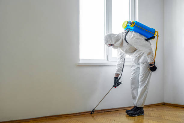 Best Residential Pest Control  in Glens Falls North, NY