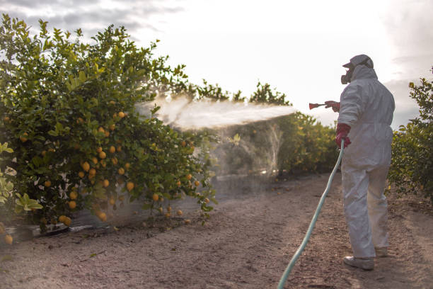 Best Ant Control Services  in Glens Falls North, NY