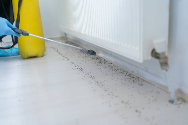 Best Pest Inspection Near Me  in Glens Falls North, NY