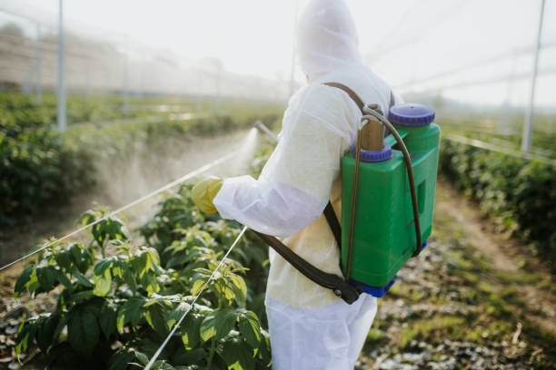 Best Affordable Pest Control Services  in Glens Falls North, NY